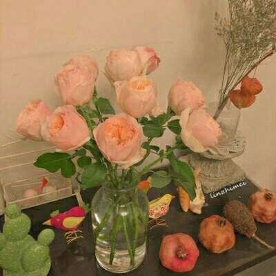 乐鱼官网手机版